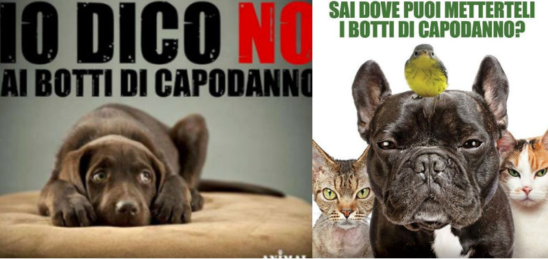 vignette-capodanno-animali-no-botti