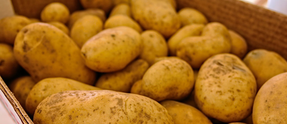 Come conservare correttamente le patate